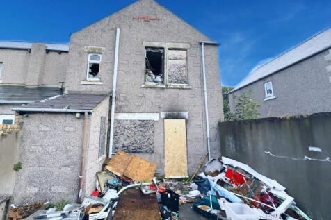 NEW1blue T202511211103.jpg