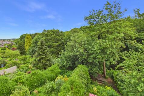 Woodland Views
