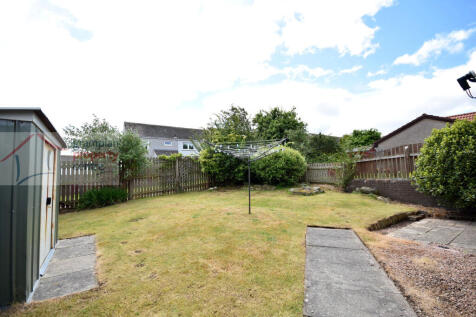 garden .JPG