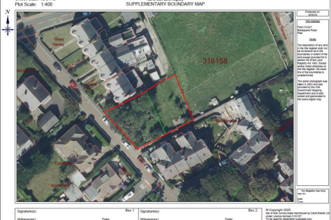 aerial view.png