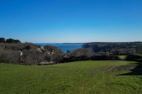 Wheal Friendly 3.jpg
