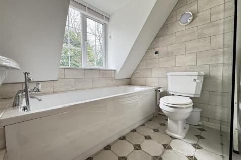 IMG_5355 (Large).JPG