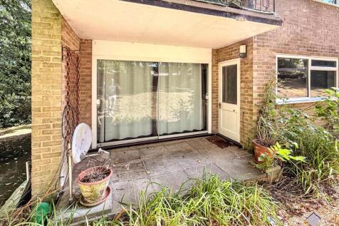 IMG 2620