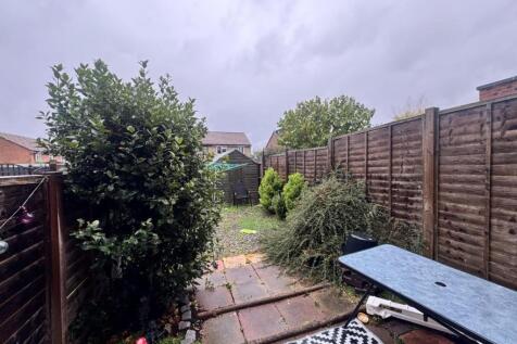 garden.jpeg