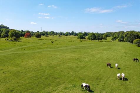 dji_fly456_327726.jpg