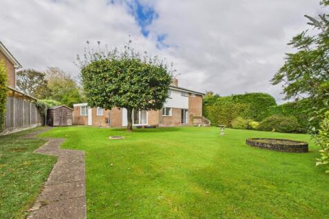 CAM02136G0-PR0470-STILL019