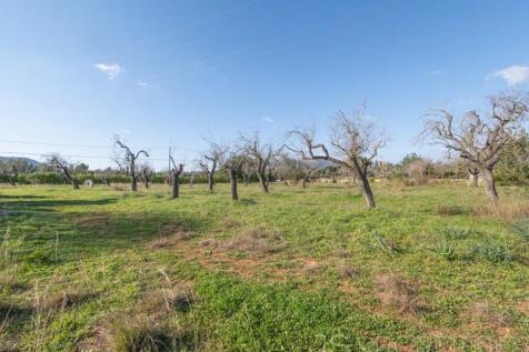 Land with license to build