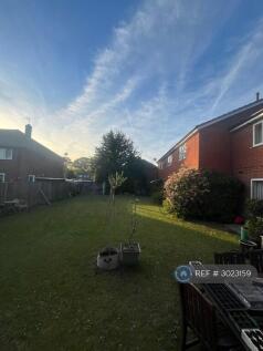 Shared Garden