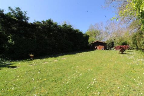 Garden 1.JPG