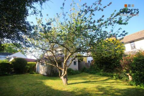 Garden view 4