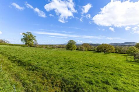 Field/Paddock