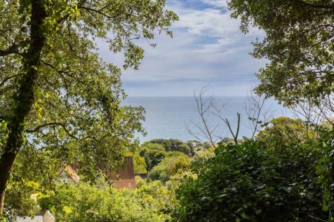 View from Studio.jpg