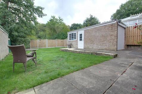 Back garden
