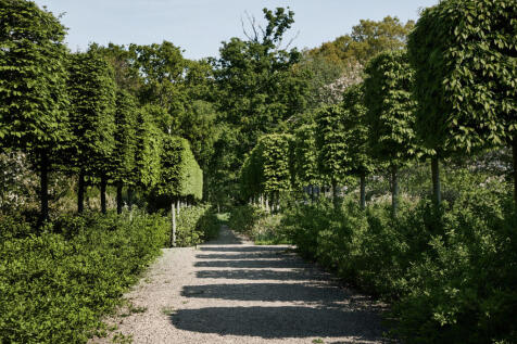 281894 - DGLA6663.jpg