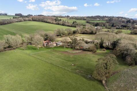 Aerial Shot