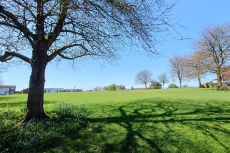 Nearby Park