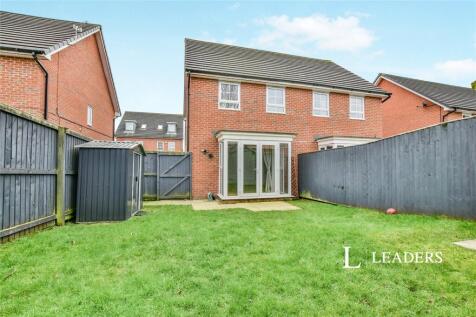 Back Garden