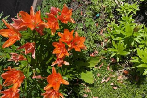 Property Image 56
