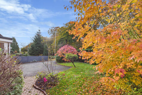 CAM01354G0-PR0612-STILL006