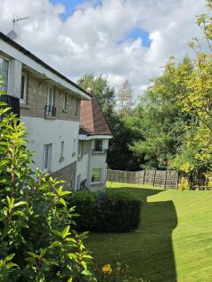 Side Garden