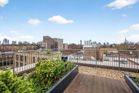 Roof Top Terrace