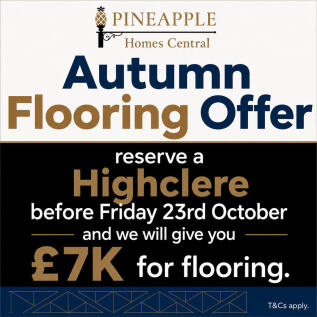 Autumn Offer High...