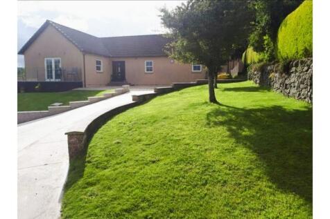 The Property 