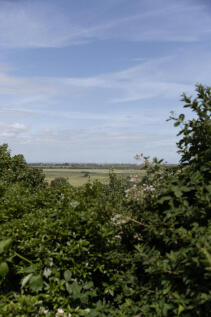 a0OP6000005N7HFMA0_N58_highres.jpg