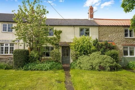 DSC08568.jpg
