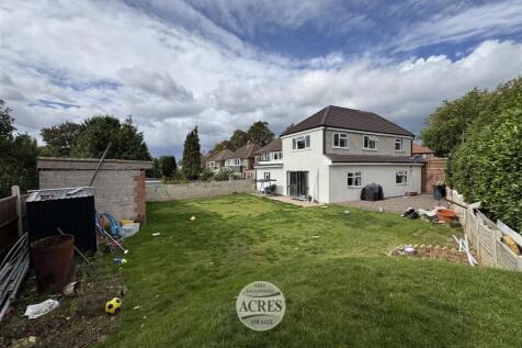 IMG_1592 (Large).jpg