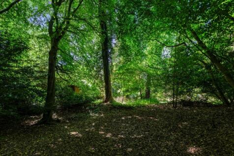 Woods
