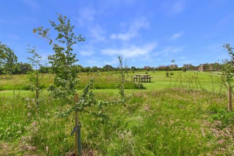 CAM02544G0-PR0388-STILL002.jpg