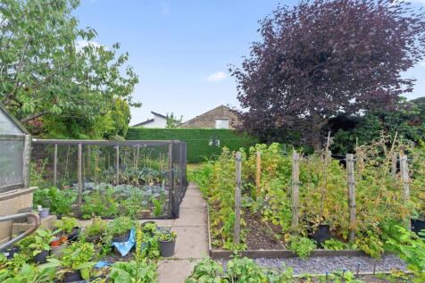 Vegetable Gardens
