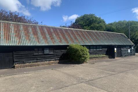 Photo 10062024 10 42 17.jpg