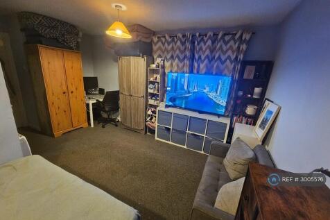 Main Living Space (Living Room/Diner/Bedroom)