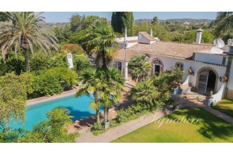 Photo (13 de 21) (Medium)