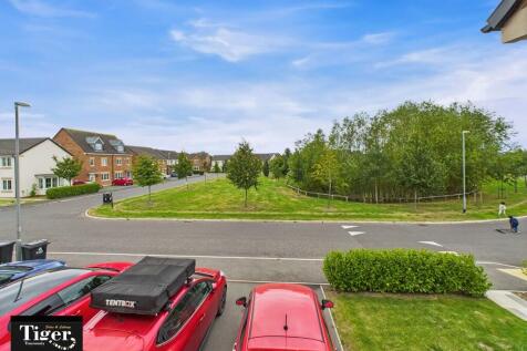 CAM02176G0-PR0684...