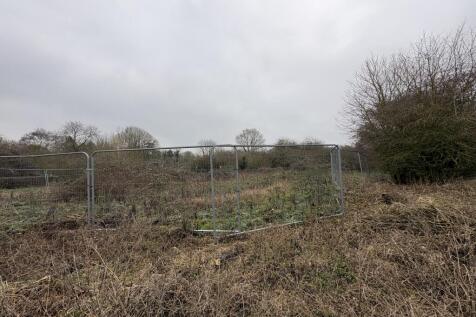 2  Medium  T202602021050.jpg