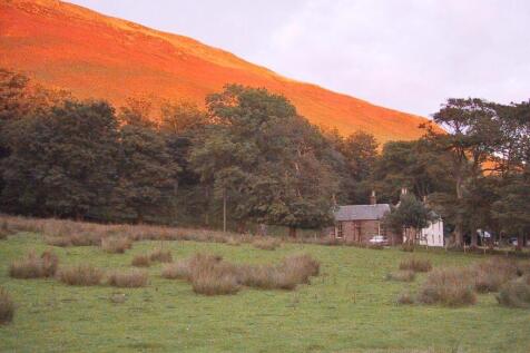 Evening Sunshine Behind The Lodge