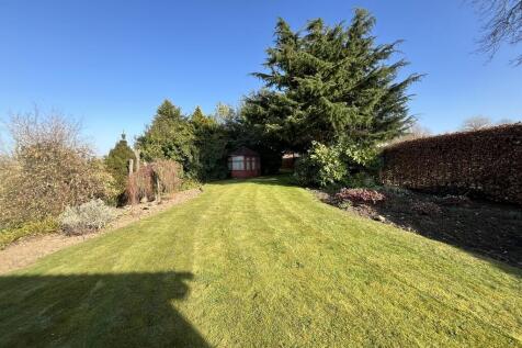 IMG_32345_22_larg...