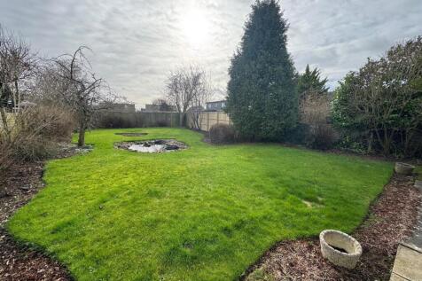 rear garden.jpg