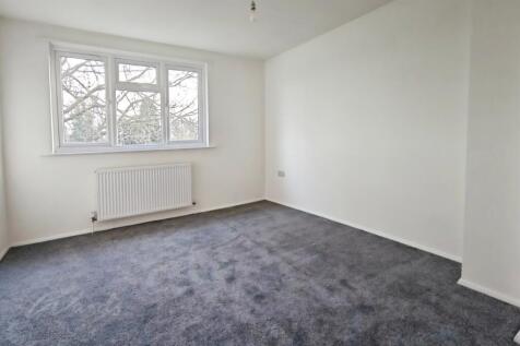 515aaffd-IMG20260...