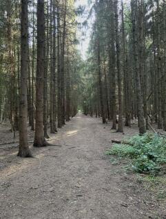 Photo 24