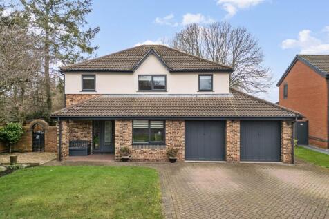 Property Image 35