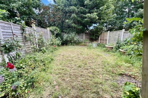 garden.JPG