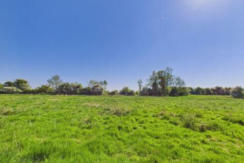 Field views beyond garden