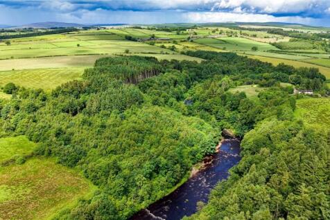 Woodland and River