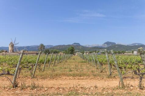 Binissalem Countrysi