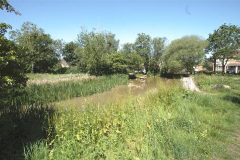 POND1.jpg
