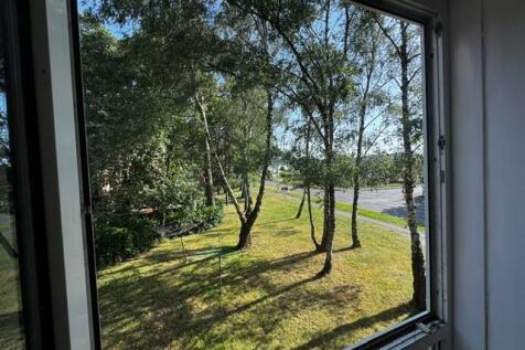 55 hasler new view.jpg